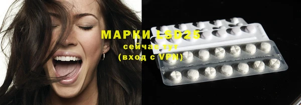 стафф Баксан