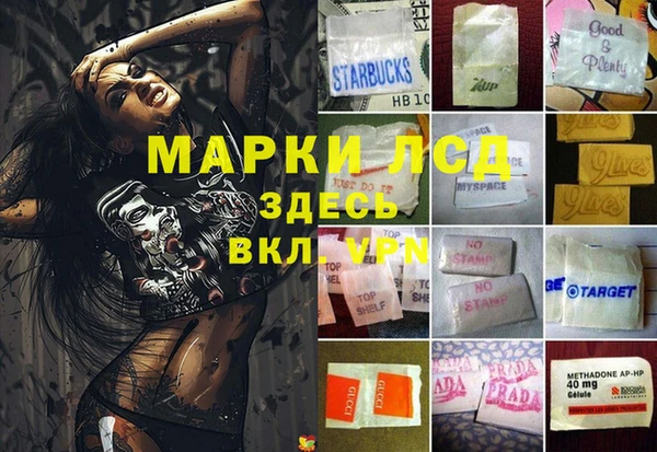 стафф Баксан