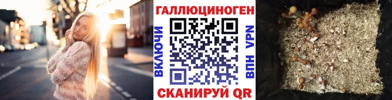 магазин продажи   blacksprut ТОР  Псилоцибиновые грибы Cubensis  Красноперекопск 